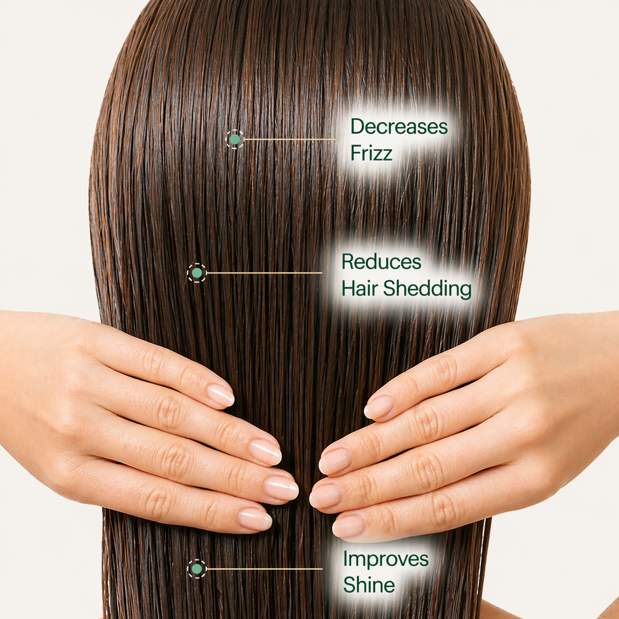 Rinely Filtered Showerhead