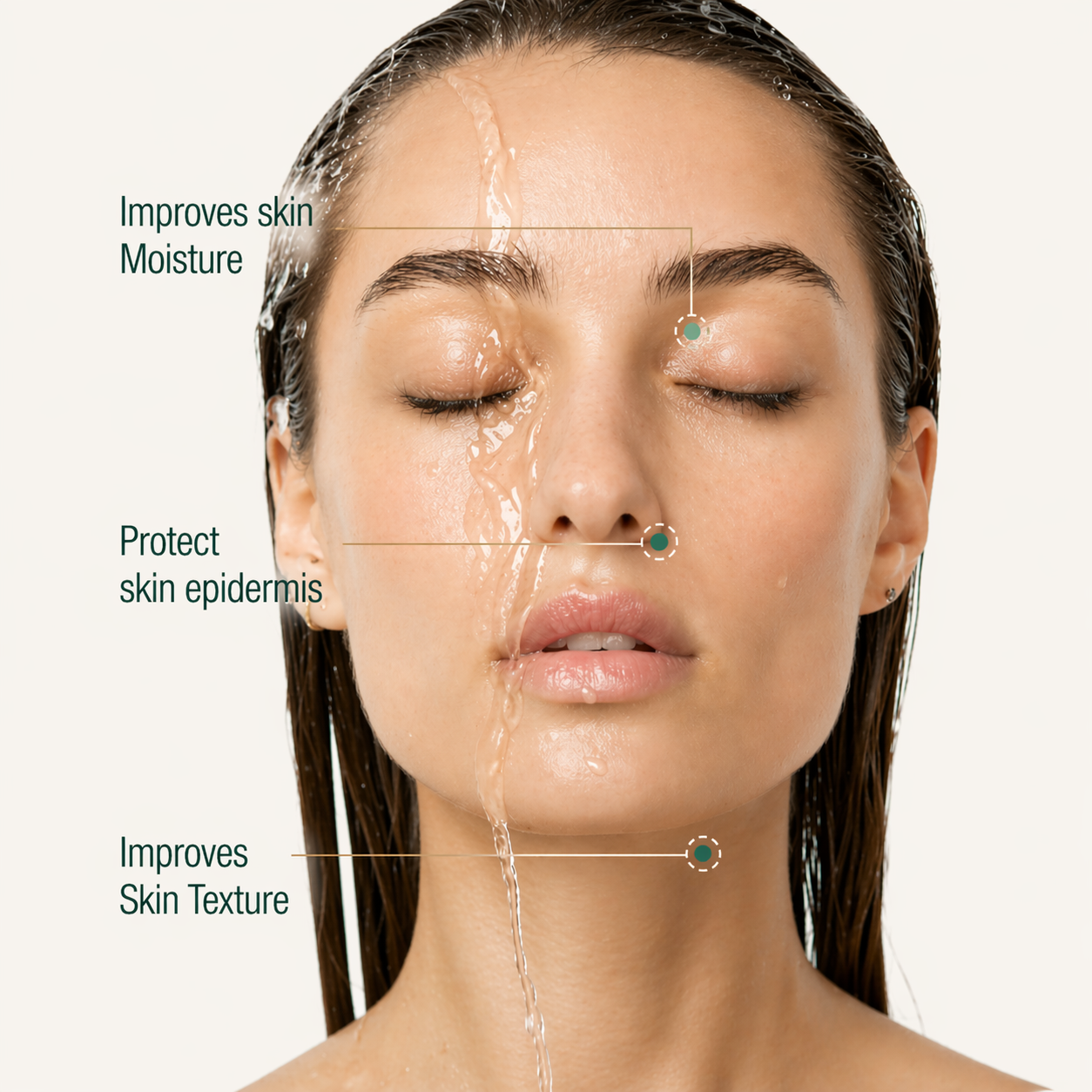 Rinely Filtered Showerhead